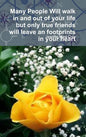 Many People Will walk in and out of your life but only true friends will leave an footprints in your heart - Hardcover