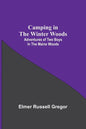 Camping In The Winter Woods: Adventures Of Two Boys In The Maine Woods - Paperback