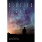 Elusive Light: A Journey Through Grief - Paperback