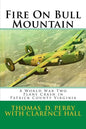Fire On Bull Mountain: A World War Two Plane Crash in Patrick County Virginia - Paperback