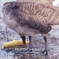 Jamaica Bay Pamphlet Library 05: Fruit on the Beach - Paperback