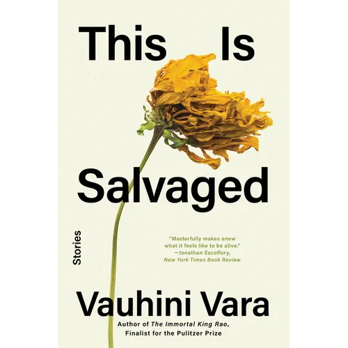 This Is Salvaged: Stories - Paperback