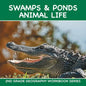 Swamps & Ponds Animal Life: 2nd Grade Geography Workbook Series - Paperback