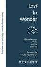 Lost in Wonder: Glimpsing Awe, God and the Good Life (Rediscovering Faith Life And Everything) - Paperback