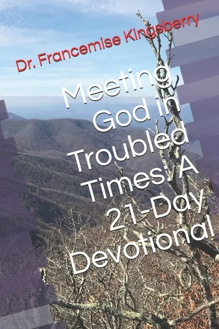 Meeting God in Troubled Times: A 21-Day Devotional - Paperback