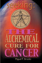 Seeking: The Alchemical Cure for Cancer - Paperback