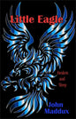 Little Eagle: Awaken and Sleep - Paperback