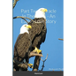 Part Two: Miracle In The Pines - An Eagles Love Story - Paperback