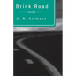 Brink Road: Poems - Paperback