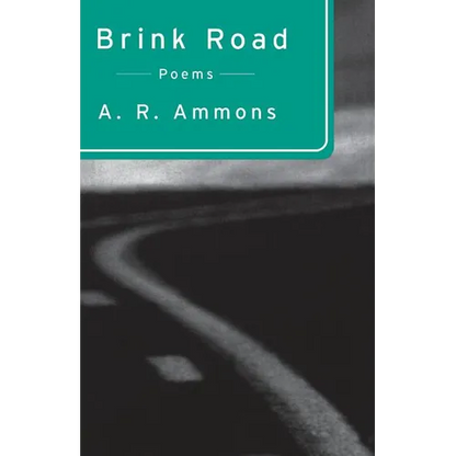 Brink Road: Poems - Paperback