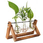 Desktop Glass Bulb Planter