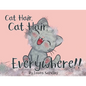 Cat Hair, Cat Hair, Everywhere! - Paperback