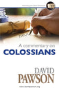A Commentary on Colossians - Paperback