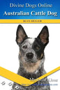 Australian Cattle Dogs: Divine Dogs Online - Paperback
