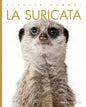 La Suricata - Paperback