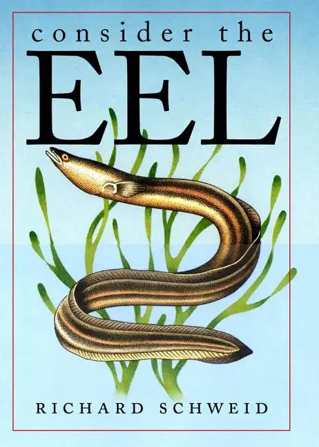 Consider the Eel - Paperback
