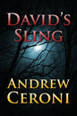 David's Sling - Paperback