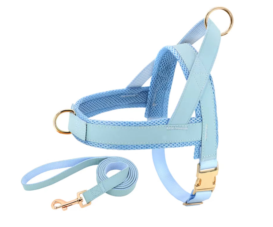 Lettering Large Dog  Vest Chest Harness