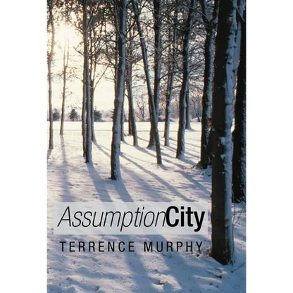 Assumption City - Hardcover