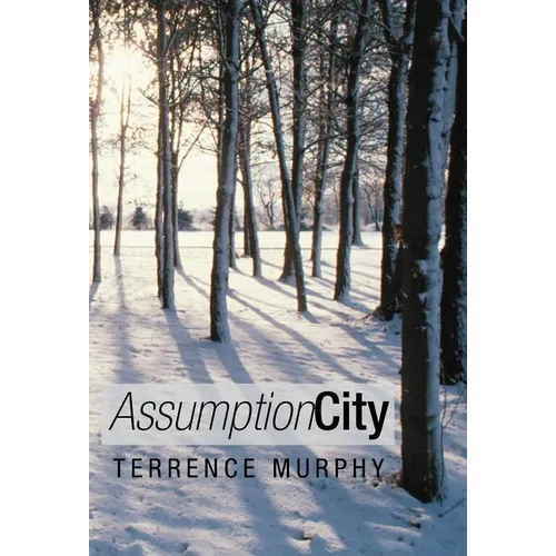 Assumption City - Hardcover