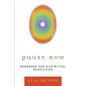 Pause Now: Handbook for a Spiritual Revolution - Paperback