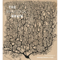 The Beautiful Brain: The Drawings of Santiago Ramon Y Cajal - Hardcover