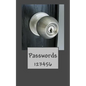Passwords: 123456 - Paperback
