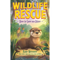 How to Save an Otter - Paperback