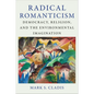 Radical Romanticism: Democracy, Religion, and the Environmental Imagination - Paperback