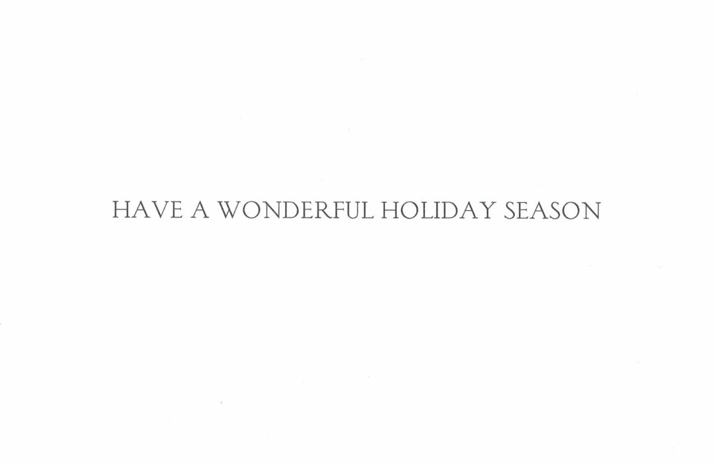 Elegant Boxed Cards - Snowy Seasons Greetings