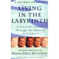 Living in the Labyrinth: A Personal Journey Through the Maze of Alzheimer's - Paperback