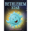 Bethlehem Star - Hardcover