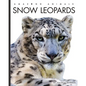 Snow Leopards - Library Binding