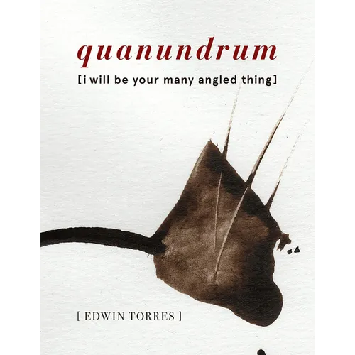 Quanundrum [I Will Be Your Many Angled Thing] - Paperback