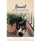 Bandit: For the Love of a Cat - Paperback