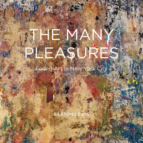 The Many Pleasures: Found Art in New York City - Hardcover