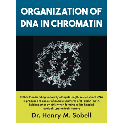 Organization of DNA in Chromatin - Hardcover
