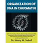 Organization of DNA in Chromatin - Hardcover