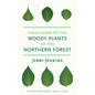 Field Guide to the Woody Plants of the Northern Forest - Paperback