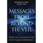 Messages from Beyond the Veil: Spiritual Guidance for Our Human Experience - Paperback