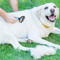 Dog and Cats 2 Sided Grooming Rakes