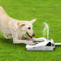 Dog Water Fountain