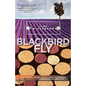 Blackbird Fly - Paperback