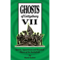 Ghosts of Gettysburg VII: Spirits, Apparitions and Haunted Places of the Battlefield - Paperback