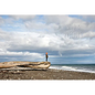 Wild and Precious - Hardcover
