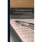 Gildersleeve's Latin Grammar - Hardcover