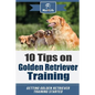 10 Tips on Golden Retriever Training: Getting Golden Retriever Training Started! - Paperback