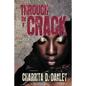 Through the Crack - Paperback