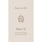 Dilexi Te: Apostolic Exhortation on Love for the Poor - Paperback