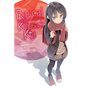 Rascal Does Not Dream of a Knapsack Kid (Light Novel) - Paperback